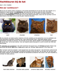 schipper Leraren dag Ijver Nederlandse Raskatten Vereniging - Vacht kleuren bij de kat